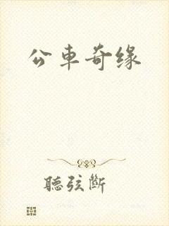 公车奇缘