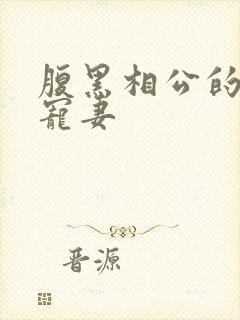 腹黑相公的庶女宠妻