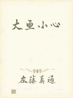 大鱼小心