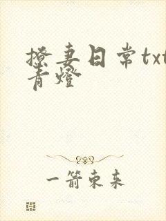 撩妻日常txt青灯