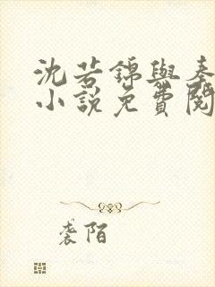 沈若锦与秦琅的小说免费阅读