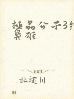 极品公子3续世枭雄