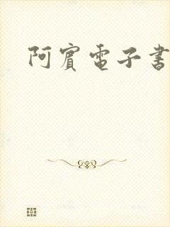 阿宾电子书