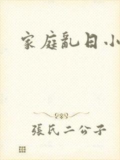 家庭乱日小说