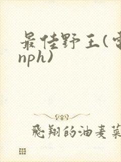 最佳野王(电竞nph)