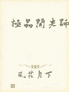 极品开光师