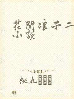 花间浪子二十部小说