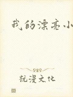 我的漂亮小后妈