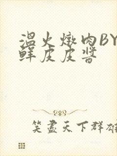 温火炖肉BY海鲜皮皮酱