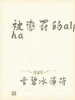 被惩罚的alpha