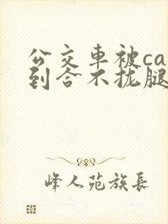 公交车被cao到合不拢腿视频