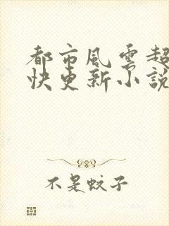 都市风云超前超快更新小说