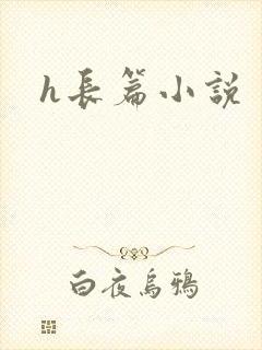 h长篇小说