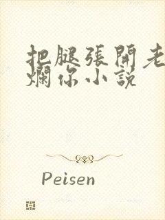 把腿张开老子臊烂你小说
