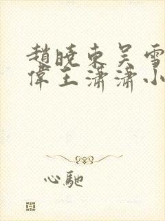 赵晓东吴雪晴郑伟王潇潇小说名字