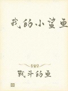我的小鲨鱼