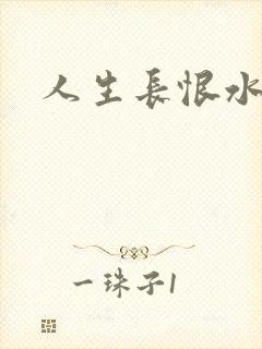人生长恨水长东