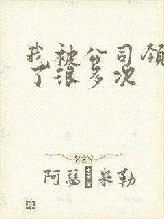 我被公司领导C了很多次