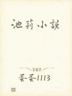 池莉小说