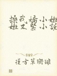 搡我娇小嫩苞又嫩又紧小说