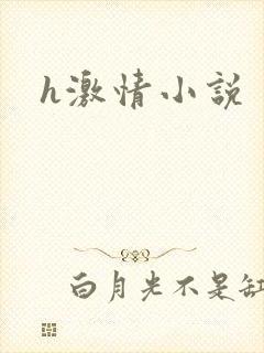 h激情小说