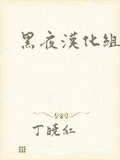 黑夜汉化组