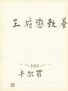 王府惩教养日常