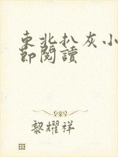 东北扒灰小说分节阅读