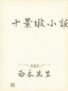 十景缎小说