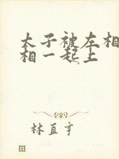 太子被左相和右相一起上