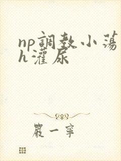 np调教小荡货h灌尿