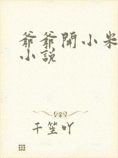 爷爷开小米的包小说
