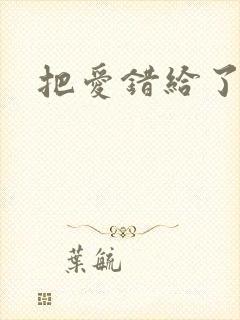 把爱错给了你
