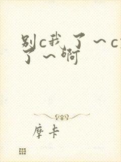 别c我了～c烂了～啊