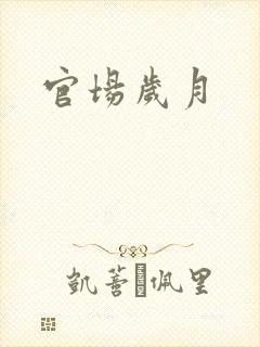 官场岁月
