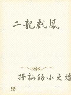 二龙戏凤