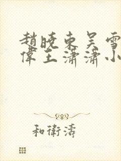 赵晓东吴雪晴郑伟王潇潇小说