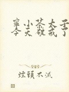 宁小茶太子殿下今天破戒了吗免费阅读