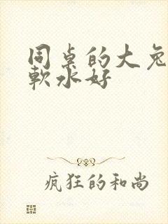 同桌的大兔子好软水好