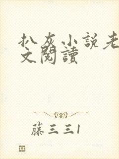 扒灰小说老马全文阅读