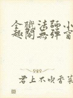 全职法师小说笔趣阁无弹窗无广告