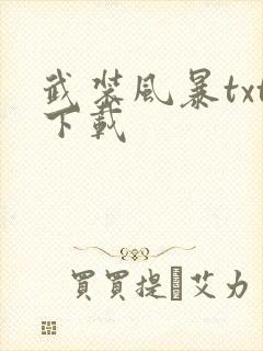 武装风暴txt下载