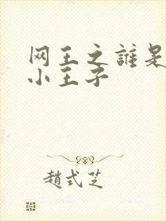 网王之谁是我的小王子