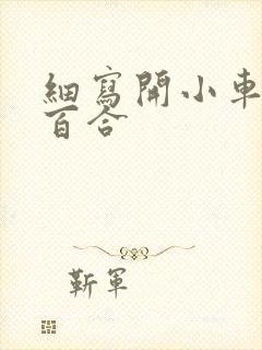 细写开小车车的百合