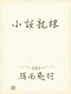 小说龙根