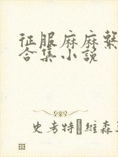 征服麻麻系列大合集小说