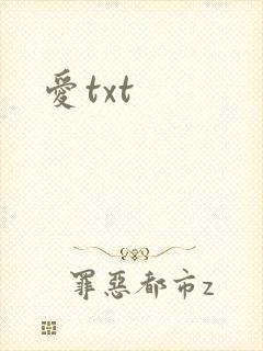 爱txt
