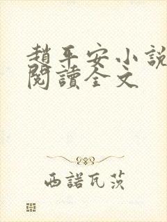 赵平安小说免费阅读全文