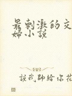 最刺激的交换夫妇小说