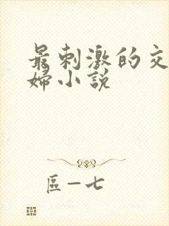 最刺激的交换夫妇小说